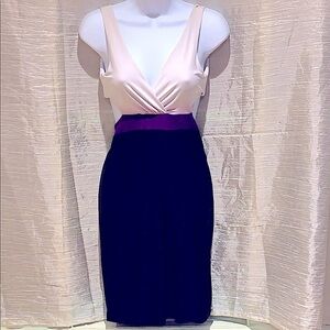 Fashion Junkee Block Color Side Cut-Out Sexy Fitted Dress Size Small